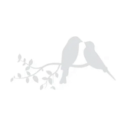 Charlie Bird Creative Logo