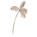 Clark Photo and Film logo