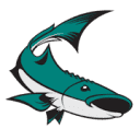 Cobia Digital Logo
