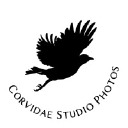 Corvidae Studio Logo