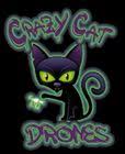 Crazy Cat Drones Logo