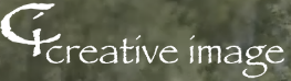 Creative Image Video Logo