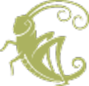 Cricket's Photo and Cinema Logo