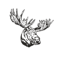 Crooked Moose Productions Logo