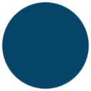 Digital Soldiers logo