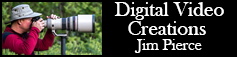 Digital Video Creations Logo