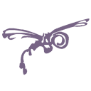 Dragonfly Digital Video Services Logo
