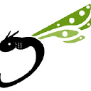 Dragonfly Aerials Logo