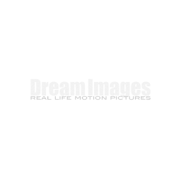 Dream Images Logo