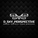 D Sky Perspective Logo