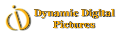 Dynamic Digital Pictures, LLC Logo