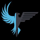 Eagle Aerial Solutions, LLC Logo