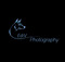 EdiV Photography Logo