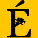 Eniary Studio Miami Logo