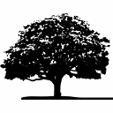 Family Tree Video, LLC Logo
