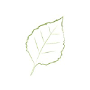 floating leaf studios Logo