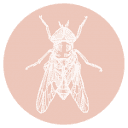 Fly on the Wall Photography logo