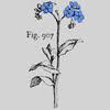 Forget Me Not Media Logo