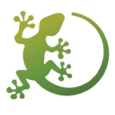 Gecko Films Logo