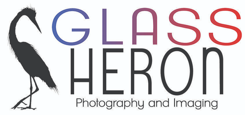 Glass Heron Photography and Imaging Logo