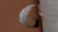 Grae Feather Photo + Film Logo
