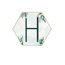 Haven Weddings Logo