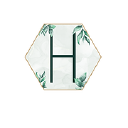 Haven Weddings logo