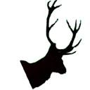 Highland Love Stories logo