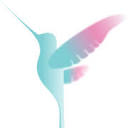 Hummingbird Global Media Logo