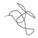 Hummingbird Media Productions Logo