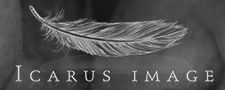 Icarus Image Logo