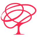Insight Picture Co logo