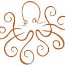 Intelligent Octopus Logo