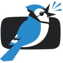 Jaybird Media LLC Logo