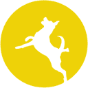 Wollongong Photographer Logo