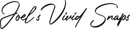 Joel's Vivid Snaps LLC Logo
