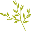 John Alderson Photography logo