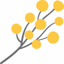 Kati Photography  logo