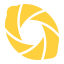 Lemon Tree Video Logo