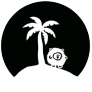 Videography by Lion Island Media logo