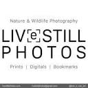 Live Still Photos Logo