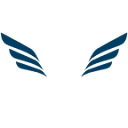 Low-Country Flightography Logo