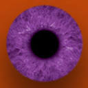 Lucid Dream Pictures logo