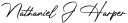 Nathaniel Harper - Video Producer Logo