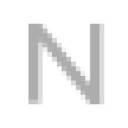 Nealey Photo Logo