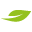 Nice Tree Films Ltd logo