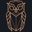 Nightowl Studio logo