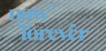 Now and Forever Wedding Photography logo