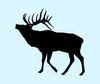 Outfitter Digital Media LLC Logo