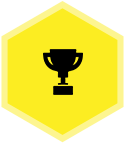 Placed4Success logo